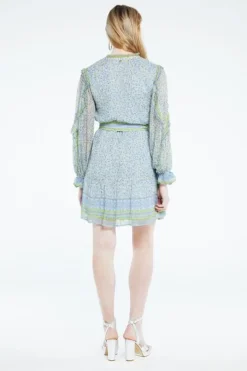 Fabienne Chapot Jurk CLT-75-DRS-SS23