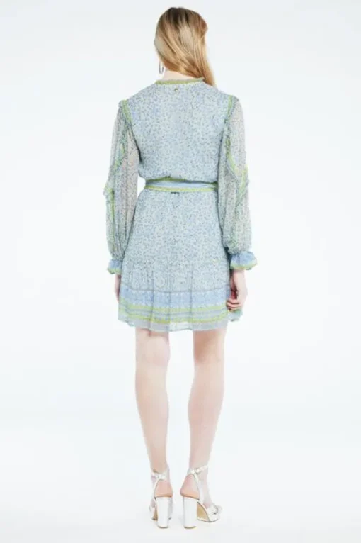 Fabienne Chapot Jurk CLT-75-DRS-SS23