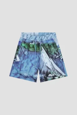 Olaf AOP Swimshorts M130401