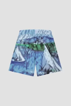Olaf AOP Swimshorts M130401